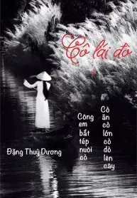 Cô Lái Đò