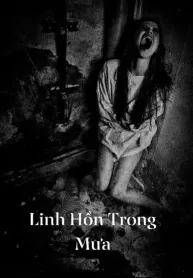 Linh Hồn Trong Mưa