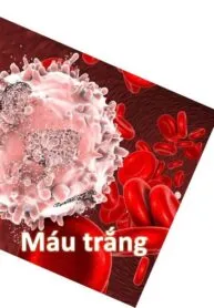 Máu Trắng
